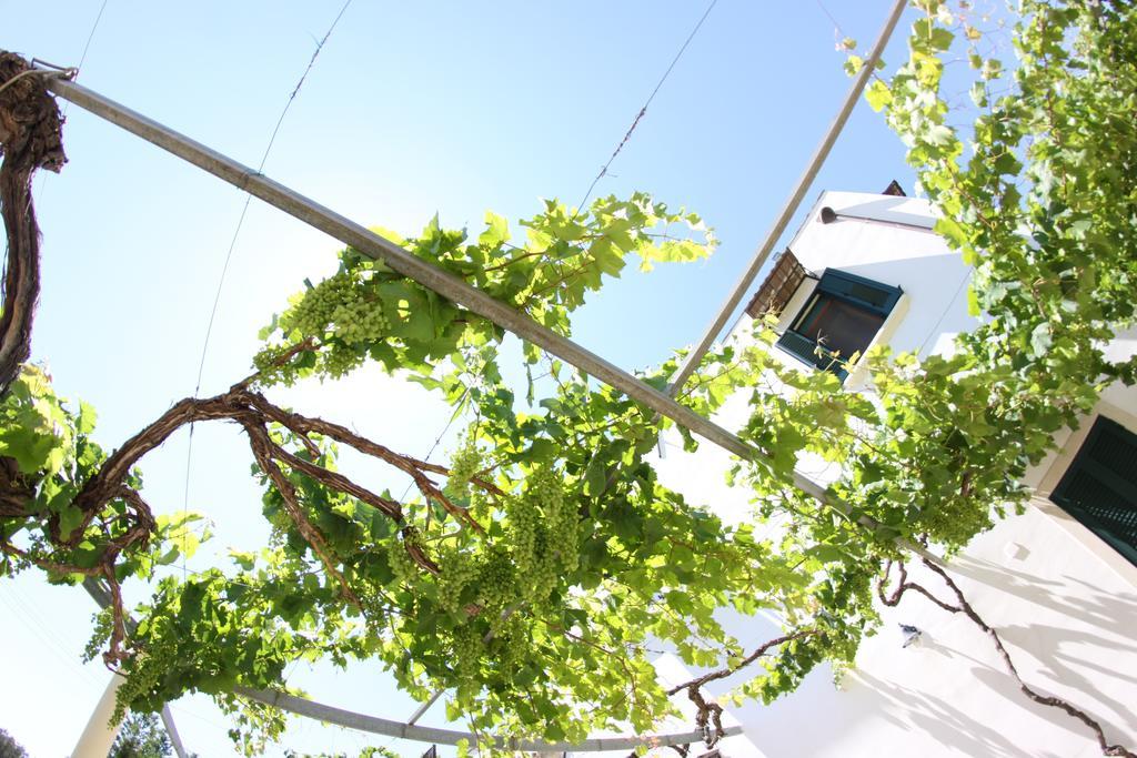 Bed & Breakfast Casale Spisari 3*